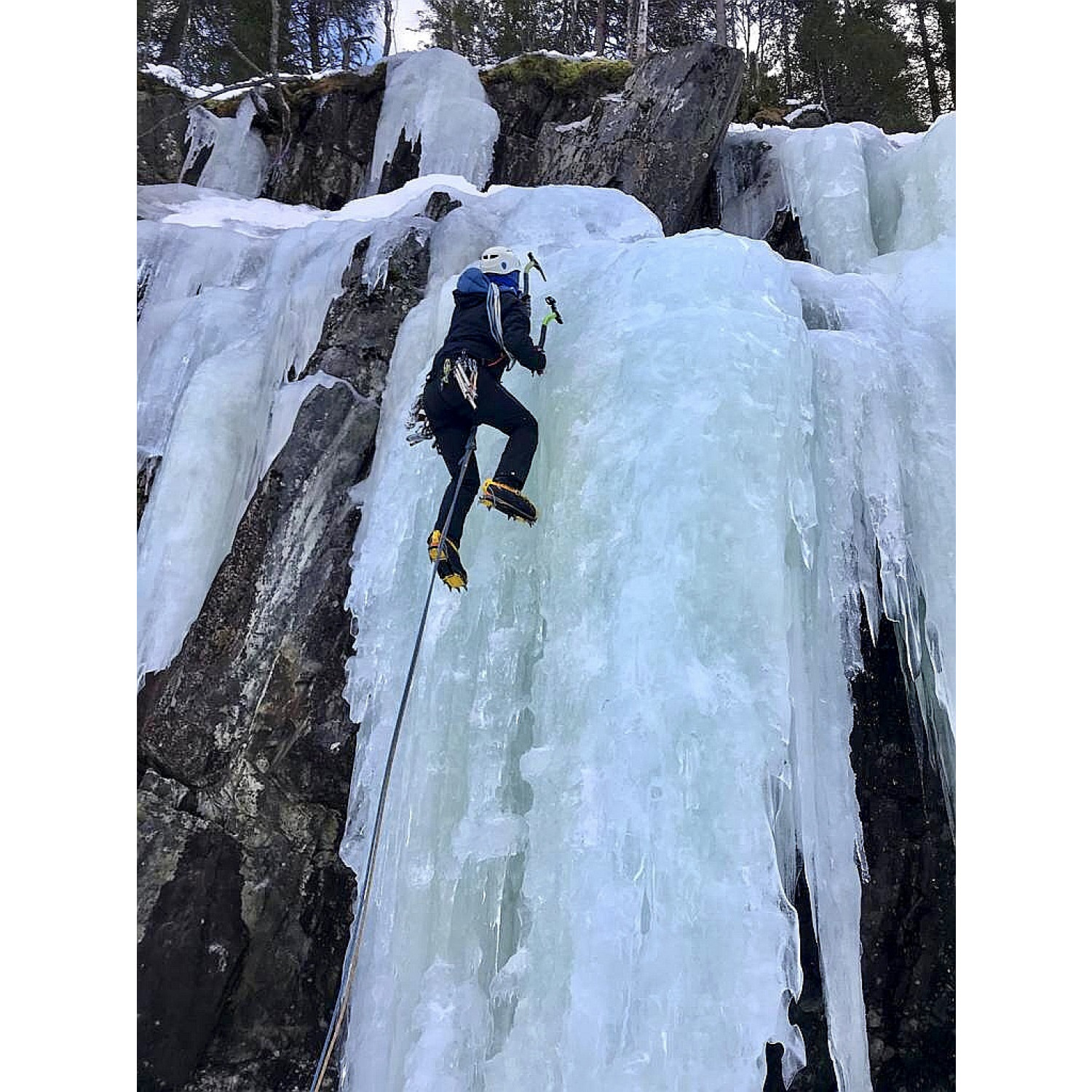 Black Diamond Alpine Bod Climbing harness Buy online Bergfreunde.eu