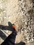 Image 2 from Rainer of Scarpa - Mont Blanc Pro GTX - Mountaineering boots