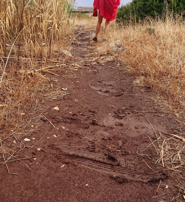 Image 1 from Jeannine of adidas Terrex - Women's Terrex Soulstride RAIN.RDY - Trail running shoes