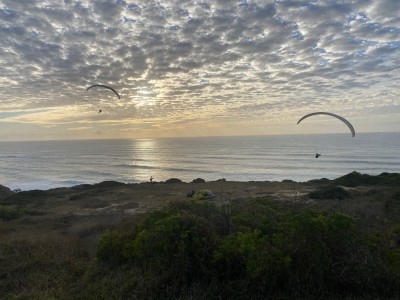 Image 1 from Terri of Altra - Women's Escalante 4 - Running shoes