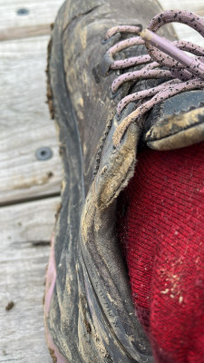 Image 1 from Phillip of Altra - Women's Olympus 5 Hike Low GTX - Walking boots