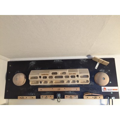 Image 1 from Laura of Beastmaker - 2000 Series - Training board