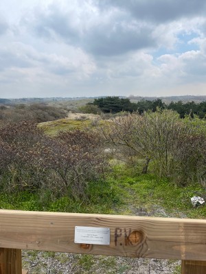 Image 1 from Arjen of Black Diamond - Stormline Stretch Full Zip Rain Pants - Waterproof trousers