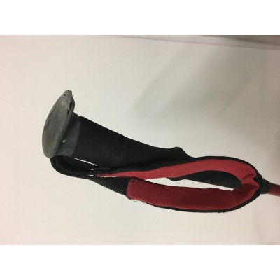 Image 1 from David of Black Diamond - Trail Back - Walking poles