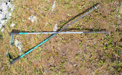 Image 1 from Ingrid of Black Diamond - Women's Distance Carbon Z - Running poles