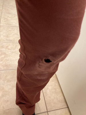 Image 2 from Adela of Black Diamond - Women's Notion SL Pants - Climbing trousers
