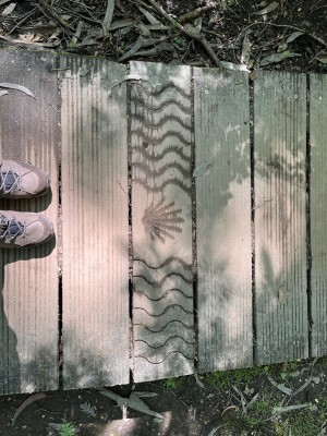 Image 1 from Anette of CEP - Women's Hiking Merino Mid-Cut Socks - Compression socks