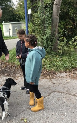Image 1 from Julia of disana - Kid's Walk-Jacke Zipp - Wool jacket