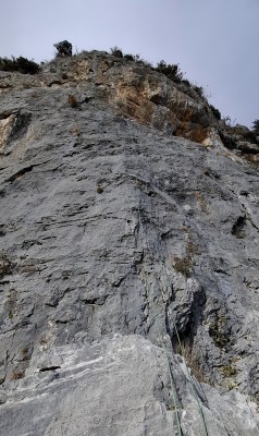 Image 1 from Stefan of Edelrid - Hummingbird Eco Dry 9,2 mm - Single rope