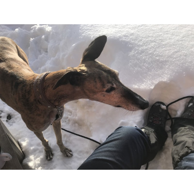 Image 1 from Edith of Hanwag - Tatra II Lady GTX - Walking boots