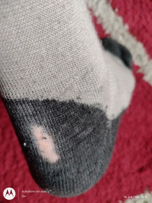 Image 1 from Stefan of Heber Peak - EvergreenHe. Hiking Crew Socks 2-Pack - Walking socks