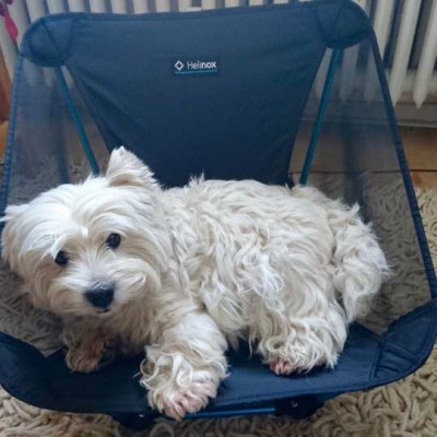 Image 1 from Maren of Helinox - Ground Chair - Camping chair
