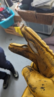 Image 1 from Thomas of Hestra - Deerskin Primaloft Rib - Gloves