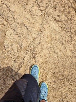 Image 1 from Marc of HOKA - Speedgoat 5 - Trail running shoes