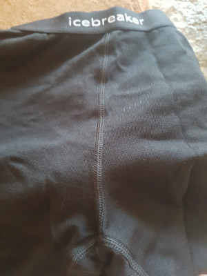 Image 1 from Sandra of Icebreaker - Women's 260 Tech Leggings - Merino base layer