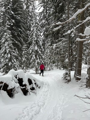 Image 1 from Peter of Inook - Women's Odalys - Snowshoes