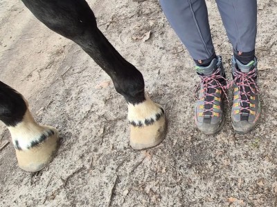 Image 1 from Ines of La Sportiva - Women's Trango TRK Leather GTX - Walking boots