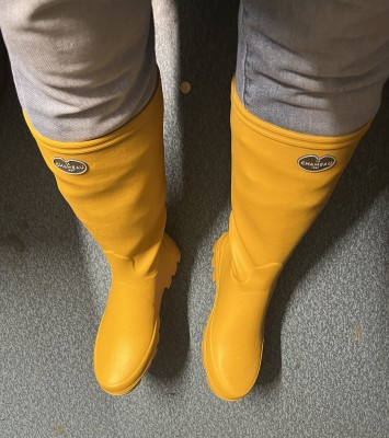 Image 1 from Peter of Le Chameau - Women's Iris Jersey - Wellington boots