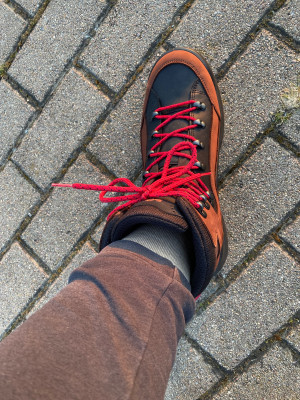 Image 1 from Daniel of Lowa - Renegade GTX MID - Walking boots