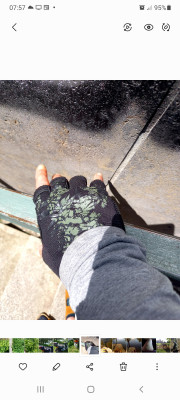 Image 1 from sabine of Maloja - ReedM. - Gloves