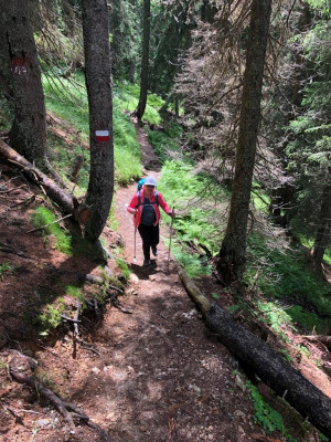 Image 1 from Juliane of Martini - Women's Capri - 3/4 length trousers