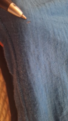 Image 3 from Heike of Ortovox - 120 Tec T-Shirt - Merino shirt