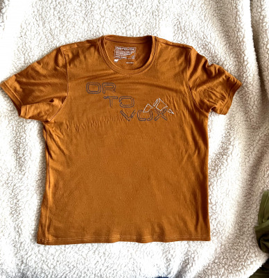 Image 1 from Frank of Ortovox - 185 Merino Tangram Logo - Merino shirt