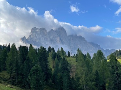 Image 1 from Thomas of Ortovox - All Mountain Mid Socks - Merino socks