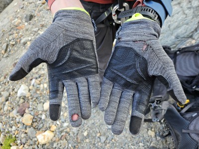 Image 1 from Arno of Ortovox - Fleece Light Glove - Gloves