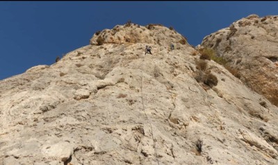 Image 1 from Siegfried of Petzl - Spirit Bent Gate - Snapgate carabiner