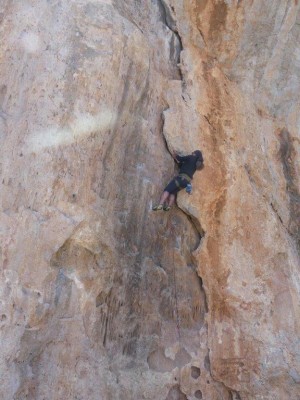 Image 1 from Siegfried of Petzl - Spirit Straight Gate - Snapgate carabiner