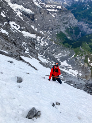 Image 1 from Niels of Petzl - Summit Evo - Ice axe