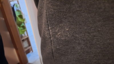 Image 1 from kristina of Picture - Basement Cork Hood - Hoodie