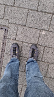 Image 1 from michael of Salewa - Alp Trainer 2 GTX - Multisport shoes