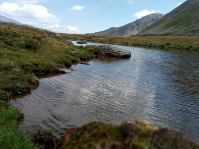 Image 1 from Oliver of Salewa - Puez Aqua 4 PowerTex 2.5L Jacket - Waterproof jacket