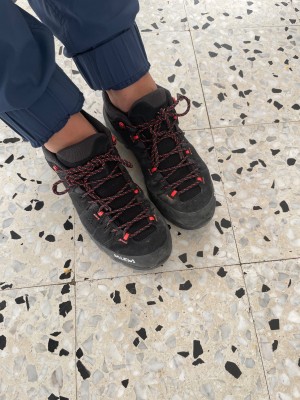 Image 1 from Britta of Salewa - Women's Alp Trainer 2 GTX - Multisport shoes