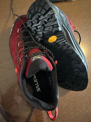 Image 1 from Sandy of Salewa - Women's Alp Trainer 2 GTX - Multisport shoes