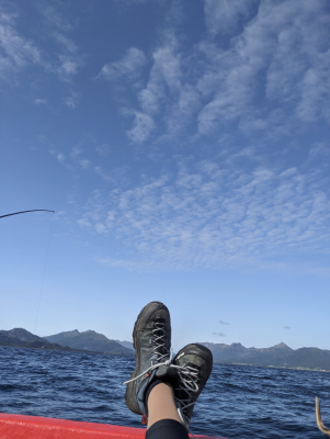 Image 1 from Alexandra of Salewa - Women's Alp Trainer 2 GTX - Multisport shoes