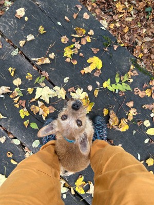 Image 1 from Michèle of Salewa - Women's Wildfire Edge GTX - Approach shoes