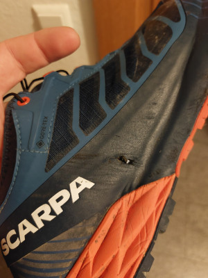 Image 1 from Daniel of Scarpa - Ribelle Run GTX - Trail running shoes