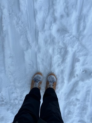 Image 1 from Daniela of Sorel - Women's Explorer Next Joan WP - Winter boots