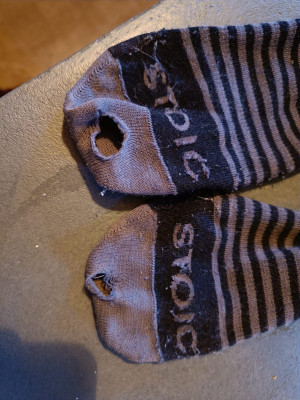 Image 1 from Folkert of Stoic - Merino Everyday Crew Socks - Sports socks