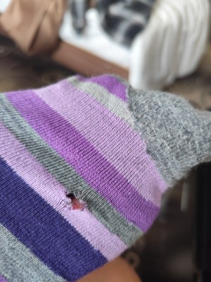 Image 1 from Nicole of Stoic - Merino Trekking Crew Socks Stripes - Walking socks