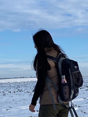 Image 1 from Fangyi of tentree - Women's Cloud Shell Puffer Vest - Synthetic vest
