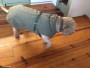 Image 1 from Nadja of Hunter - Dog Coat Uppsala Trend - Dog coat