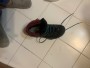Image 2 from Marianna Almpoura of La Sportiva - Women's TXS GTX - Walking boots