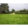 Image 2 from Vincent of Mountain Equipment - Dragonfly 3 XT - 3-person tent