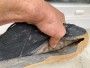 Image 2 from Quentin of Northwave - Rockit - Cycling shoes