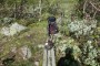 Image 1 from Andreas of Osprey - Aether Plus 100 - Walking backpack
