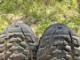 Image 3 from Katharina of Salomon - Women's Quest 4 GTX - Walking boots
